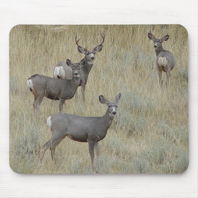 D18 Mule Deer Mouse Pad (Front)