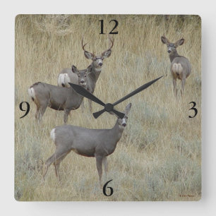 D18 Mule Deer Square Wall Clock