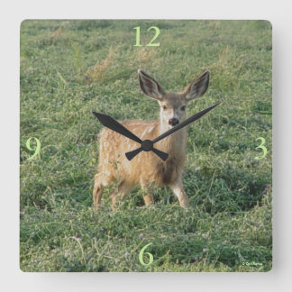 D19 Mule Deer Fawn in Alfapha Field Square Wall Clock