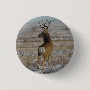 D20 Mule Deer Buck in Snow 3 Cm Round Badge