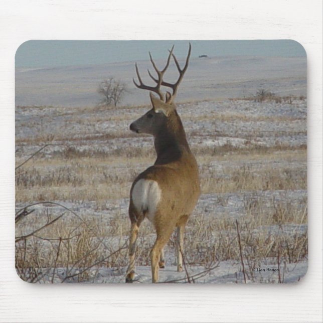 D20 Mule Deer Buck in Snow Mouse Pad (Front)