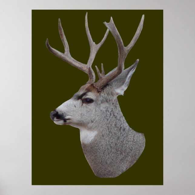D27 Mule Deer Buck Head Poster (Front)