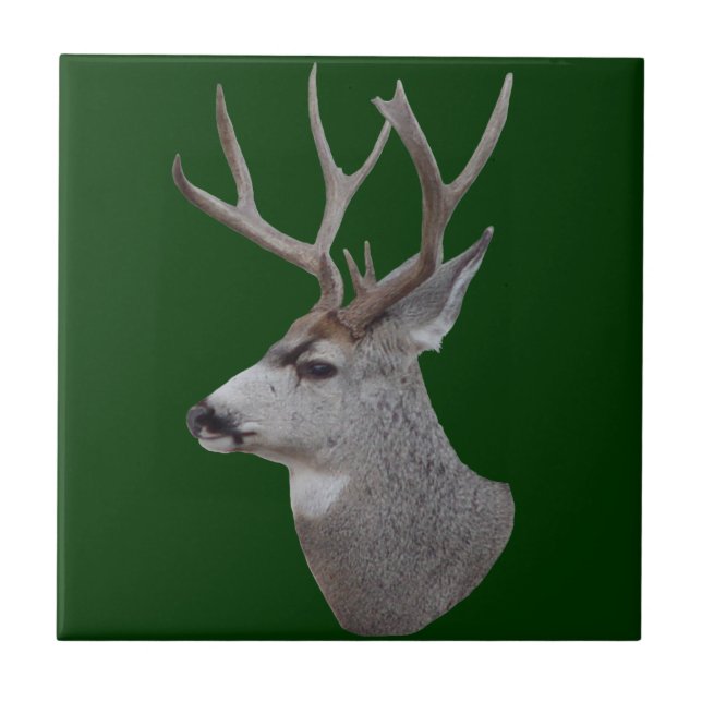 D27 Mule Deer Buck Head Tile (Front)