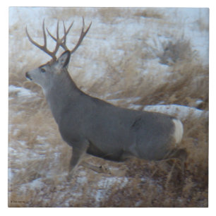 D28 Mule Deer Buck Running Tile