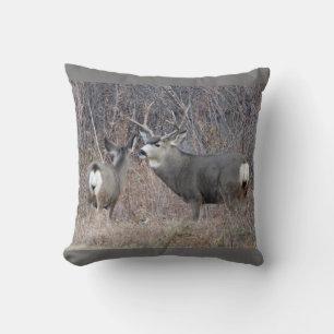 D29 Mule Deer Cushion