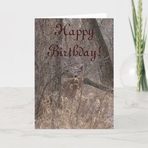 D2 White-tailed Deer in Cottonwood Trees Card