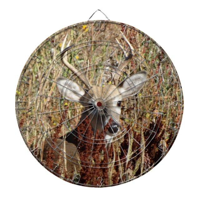 D31 White-tailed Deer in the Weeds Dartboard (Front)