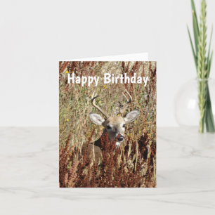 D31 White-tailed Deer in the Weeds Holiday Card