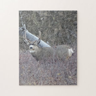 D32 Mule Deer Buck Jigsaw Puzzle