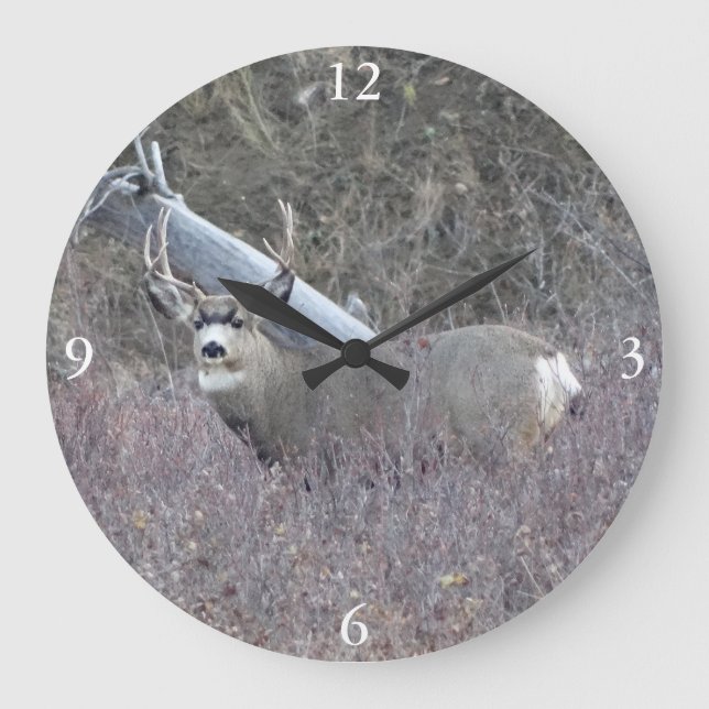 D32 Mule Deer Buck Large Clock (Front)