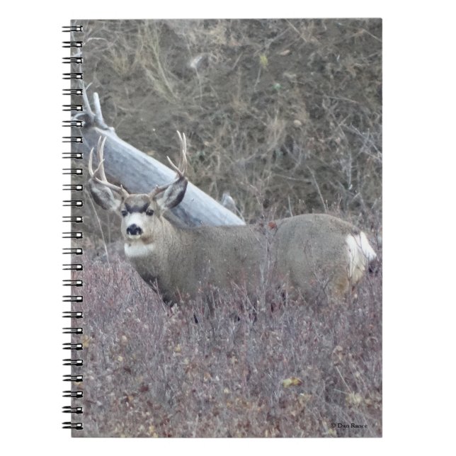 D32 Mule Deer Buck Notebook (Front)
