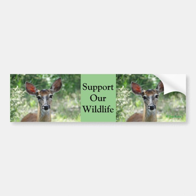 D33 White-tailed Deer Doe bumper sticker (Front)