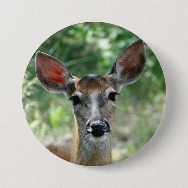 D33 White-tailed Deer Doe button (Front)