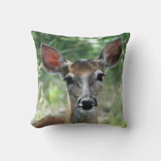 D33 White-tailed Deer Doe Cushion