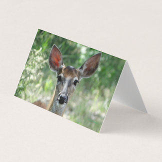 D33 White-tailed Deer Doe folding card