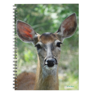 D33 White-tailed Deer Doe Notebook