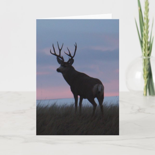 D3 Mule Deer Buck Sunrise Buck Card (Front)