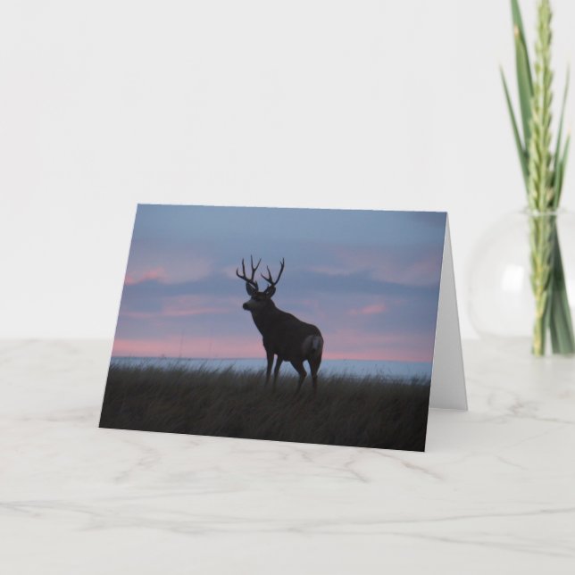 D3 Mule Deer Buck Sunrise Buck Card (Front)