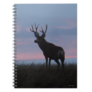 D3 Mule Deer Buck Sunrise Buck Notebook