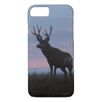 D3 Mule Deer Sunrise Buck