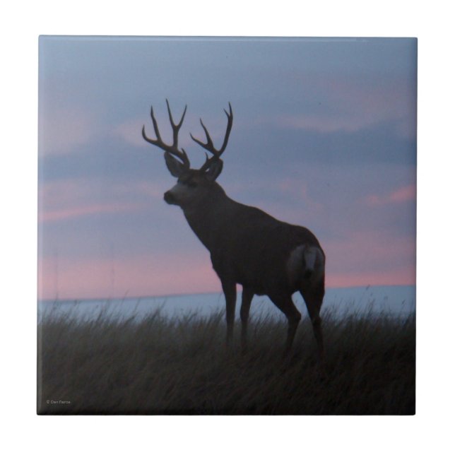 D3 Mule Deer Sunrise Buck Tile (Front)