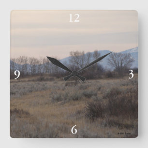 D4 Mule Deer and Sweet Grass Hills Square Wall Clock