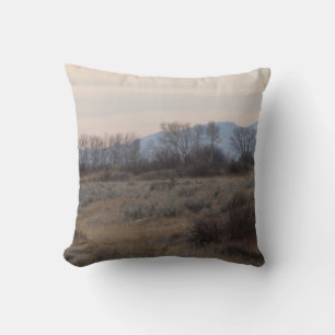 D4 Mule Deer Buck and Sweet Grass Hills Cushion