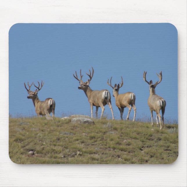 D9 Mule Deer Bucks in Velvet Mouse Pad (Front)