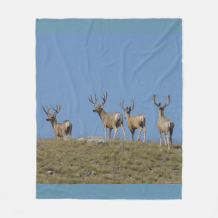 D9 Mule Deer Bucks in Velvet Sky Lined Fleece Blanket