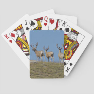D9 Mule Deer Bucks in Velvet Sky Lined Playing Cards