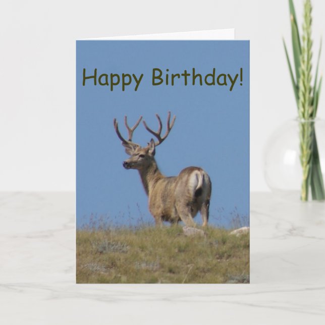 D9a Mule Deer Buck in Velvet Card (Front)