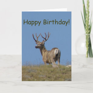 D9a Mule Deer Buck in Velvet Card
