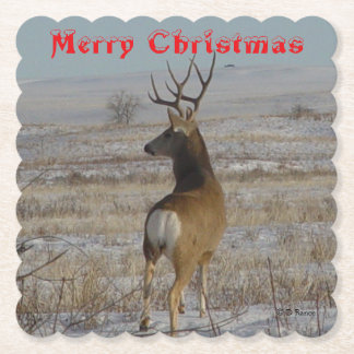 D 20 Mule Deer Buck in Snow Coaster