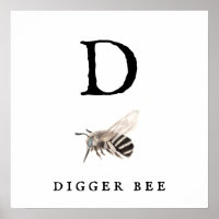 "D" Digger Bee Value Poster Paper (Matte)