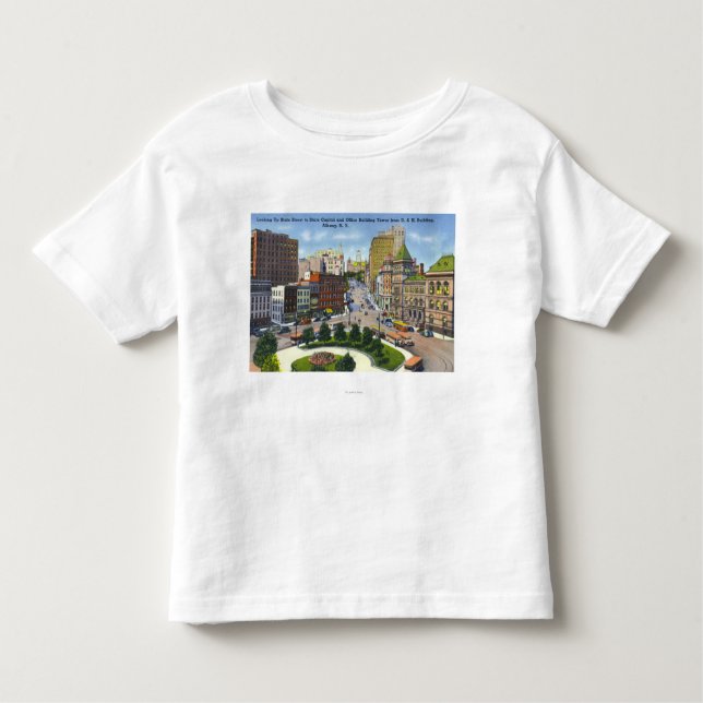 D & H Bldg View of State Street to Capitol Toddler T-Shirt (Front)