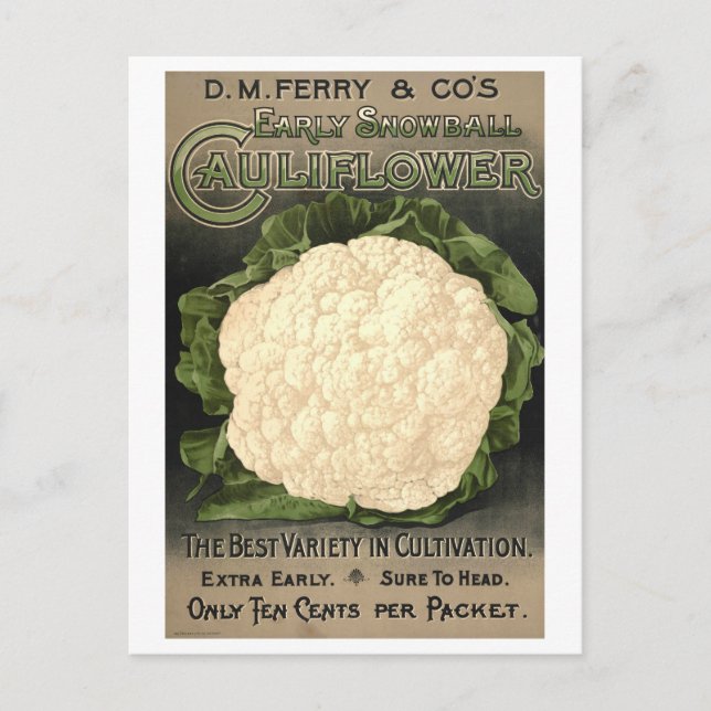 D. M. Ferry & Co. Cauliflower Seed Advertisement Postcard (Front)