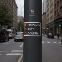 D.N.A. (RYBW) - Determined Native American