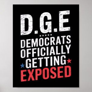 D.o.g.e Doge Government Satire American Flag  Poster