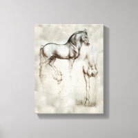 Da Vinci Horse