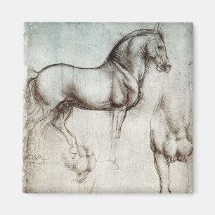 Da Vinci Horse Study Renaissance Sketch Fine Art Magnet