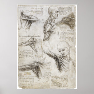 Da Vinci, Leonardo - Study of Anatomy Poster