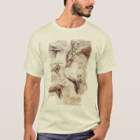 da Vinci -- Shoulder Sketch