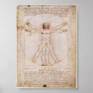 Da Vinci:Vitruvian Man Poster