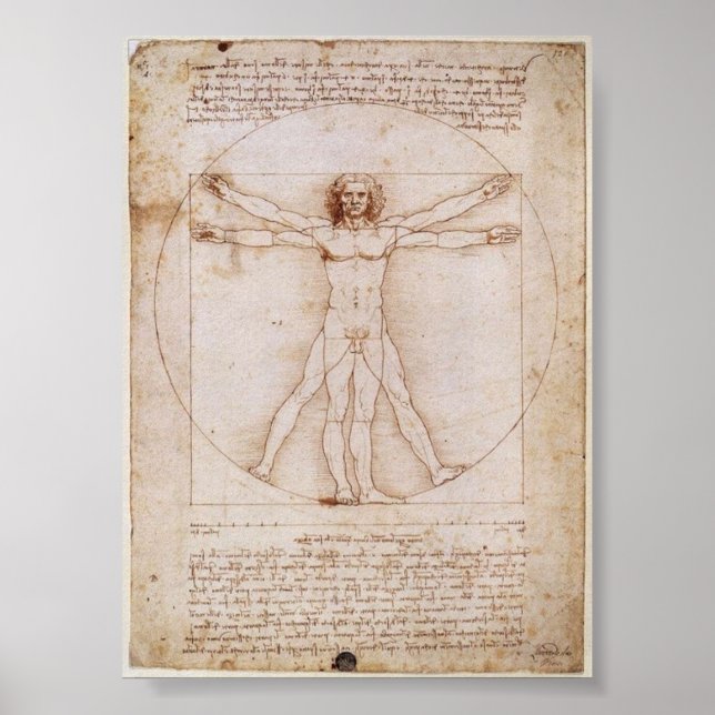 Da Vinci:Vitruvian Man Poster (Front)