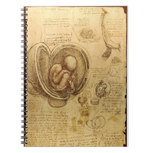 Da Vinci's Foetus Anatomy Notebook