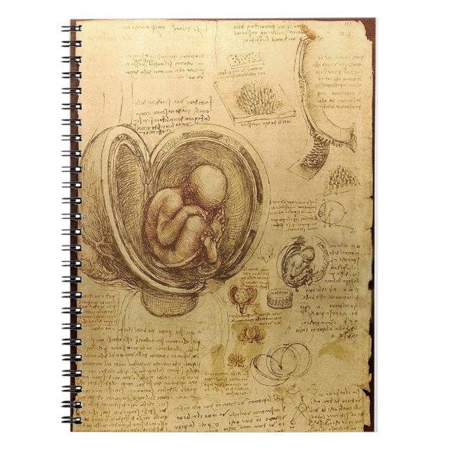 Da Vinci's Foetus Anatomy Notebook (Front)