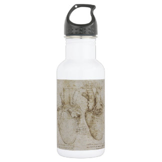 Da Vinci's Human Heart Anatomy Sketches 532 Ml Water Bottle