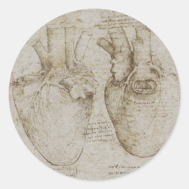Da Vinci's Human Heart Anatomy Sketches Classic Round Sticker (Front)