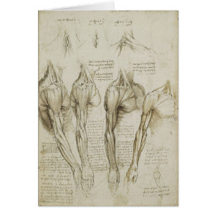 Da Vinci's Human Skeleton Anatomy Sketches