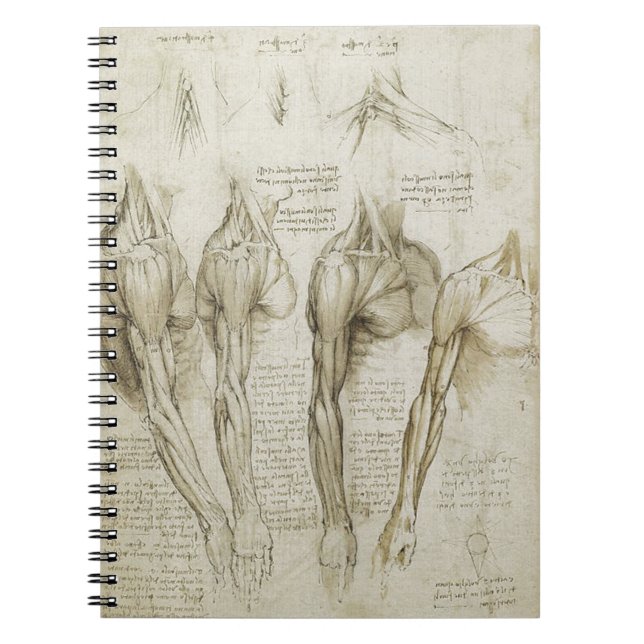 Da Vinci's Human Skeleton Anatomy Sketches Spiral Notebook (Front)